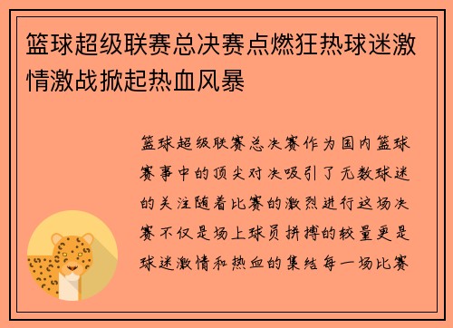 篮球超级联赛总决赛点燃狂热球迷激情激战掀起热血风暴 篮球超级联赛总决赛点燃狂热球迷激情激战掀起热血风暴